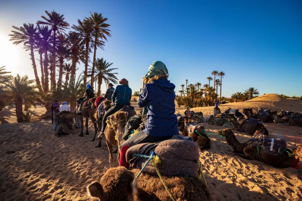 camel trekking and dune bashing in the Sahara